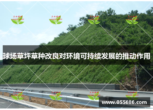 球场草坪草种改良对环境可持续发展的推动作用